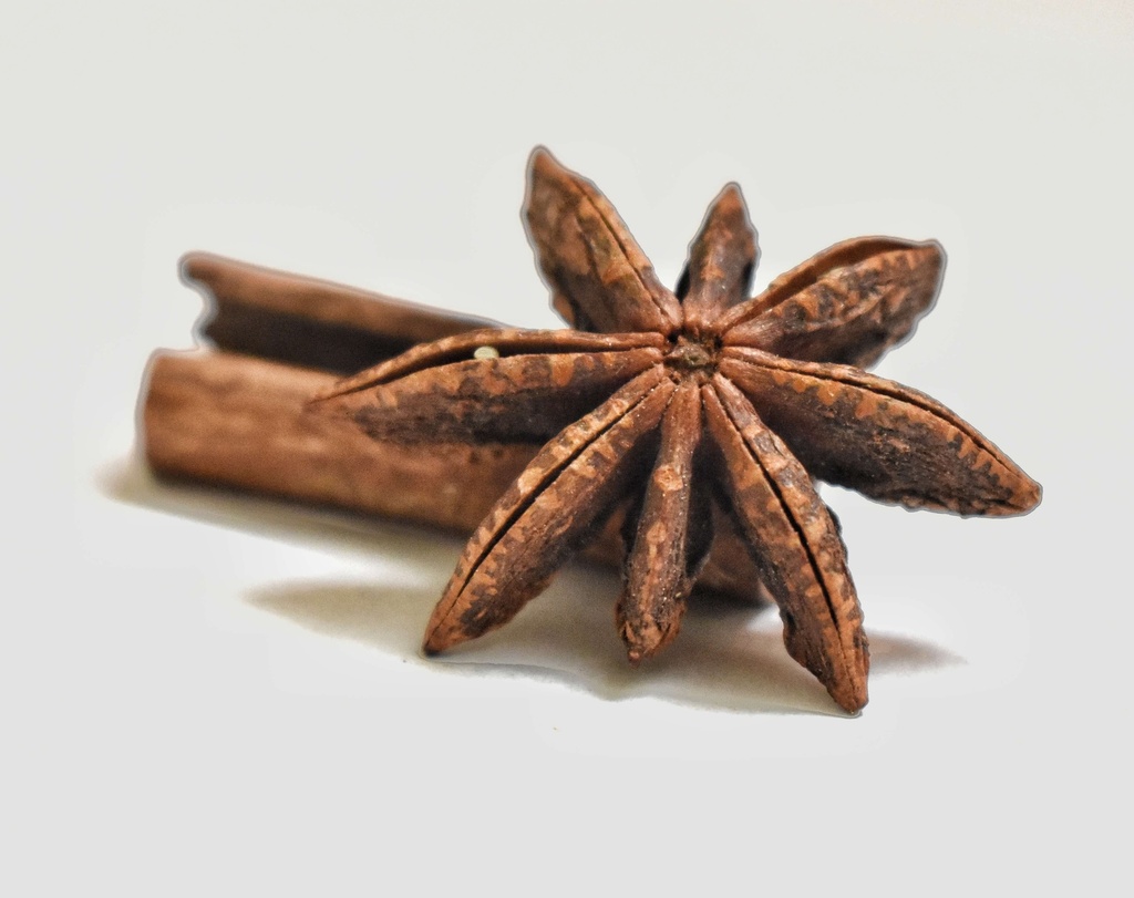 Especias - Anis Estrellado Planta 1K