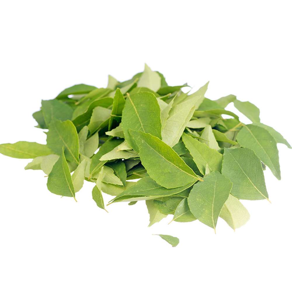 Especias - Curry Hoja 1K