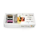 Fika - Kit Gintonic Caja Mixologia Botanica Copa Infusiones Sorbete