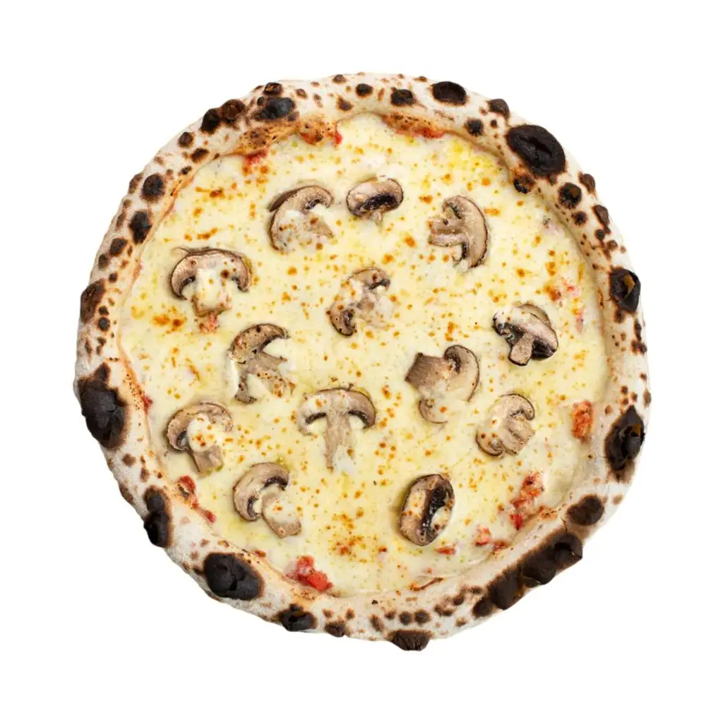 Pizza Zen Portobelos