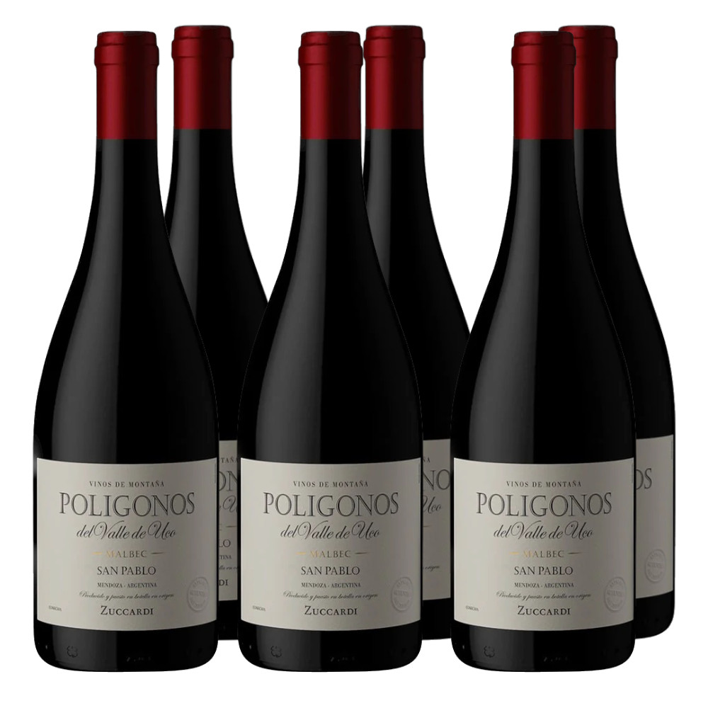 Poligonos Gualtallary Caja 6x750c (Cabernet Franc)
