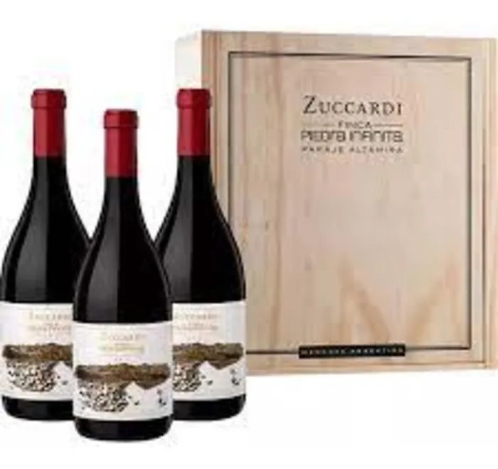 Zuccardi Finca Piedra Infinita Gravascal  Caja 6x750cc