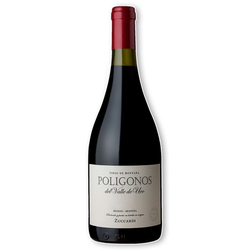 [00100172148] Poligonos Altamira Botella Magnum 1,5l