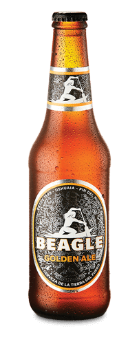 Cerveza Beagle Golden - Botella 330ml