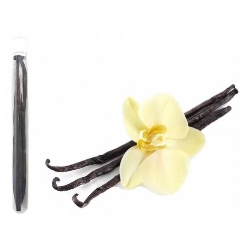 Chaucha de vainilla - 1 unidad - 