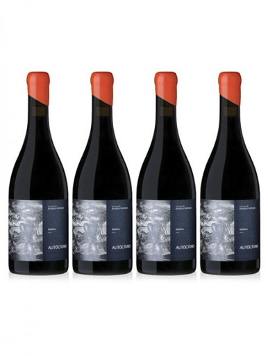 Autoctono Malbec de Las Compuertas Caja 4x750c